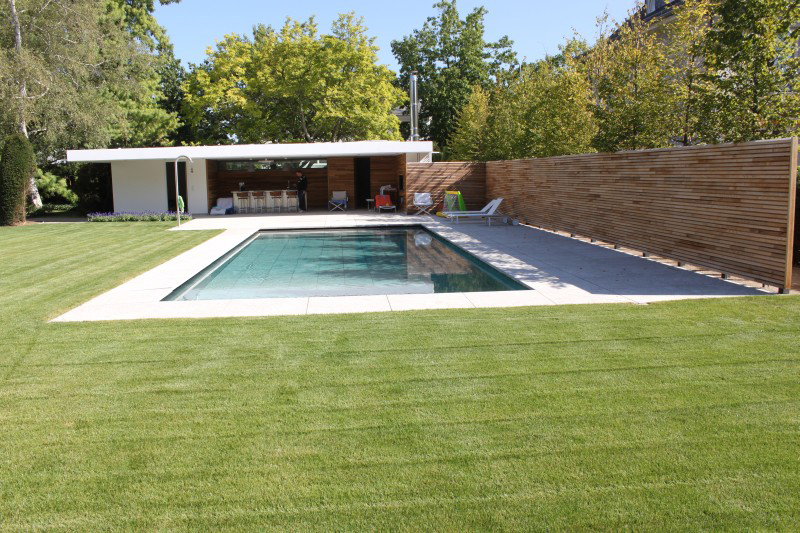 Ein moderner Garten mit grünem Rasen und einem rechteckigen Swimmingpool steht im Fokus