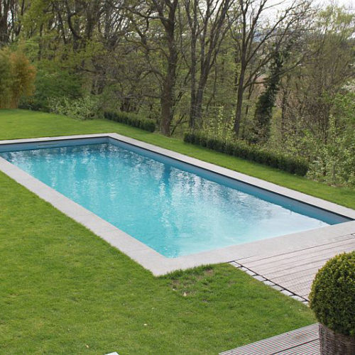 Referenzbild eines Swimmingpools von Pro Pool im Garten