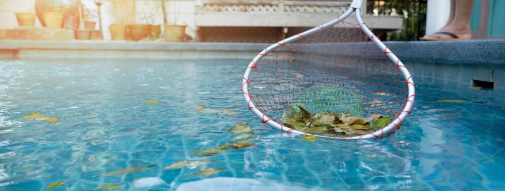 Biologische Poolreinigung: natürliche Reinigungsmethoden ohne Chemikalien